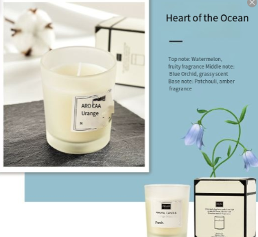 Scented Soy Sanctuary Candle